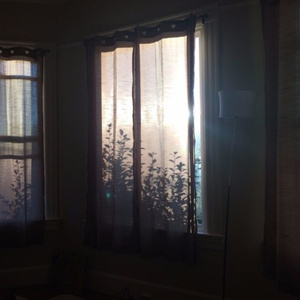 国产女深喉口爆吞精在线播放
